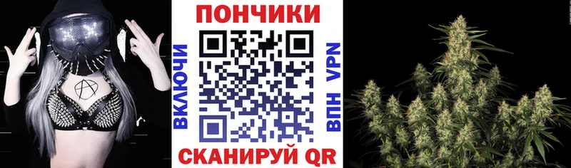 закладки  Иркутск  Бошки Шишки семена 